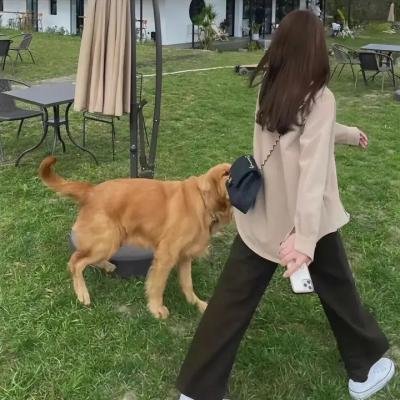 马约尔大街
