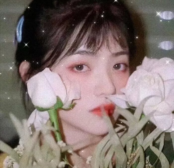 亡命七金刚